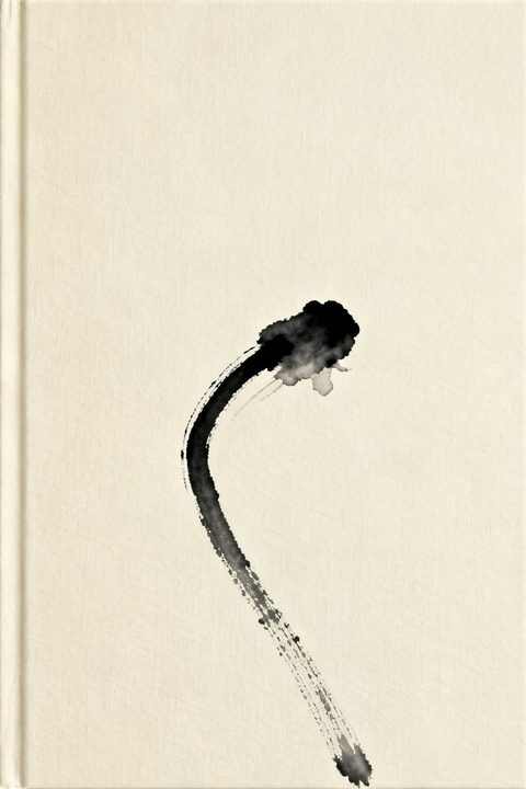 Ink Wash Stem — Real output from this prompt