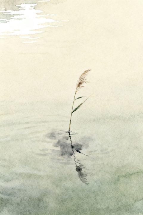 Reed Reflection — Real output from this prompt