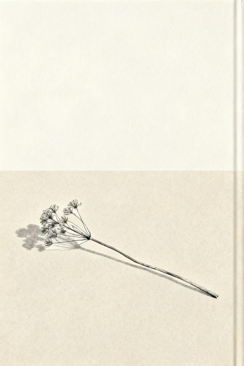 Dried Wildflower Stem — Real output from this prompt