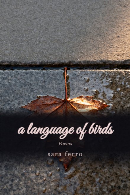 Poetry book cover: a language of birds
