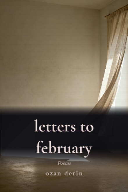 Poetry book cover: letters to february